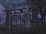 themes/vsp/img/gamepics/maps/callofduty/callofduty4/mp_citi_cemetery.jpg