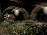 themes/vsp/img/gamepics/maps/callofduty/callofduty4/mp_surv_underground.jpg