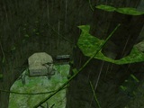 themes/vsp/img/gamepics/maps/halflife/cstrike/kz_junglezone.jpg