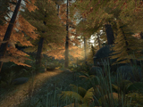themes/vsp/img/gamepics/maps/halflife2/cstrike/de_forest.jpg