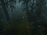 themes/vsp/img/gamepics/maps/halflife2/left4dead2/c3m2_swamp.jpg