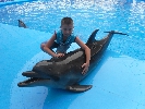 дильфинарий